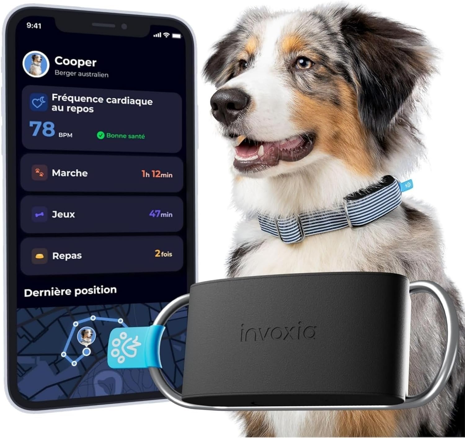 Invoxia Biotracker Chien